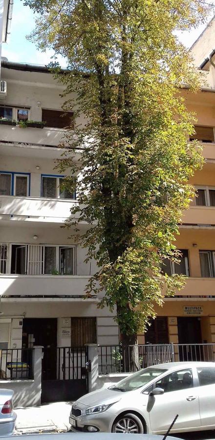 Studio Karma Budapešť Exteriér fotografie